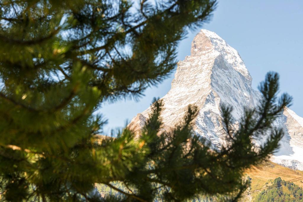 Bed & Breakfast Bijou Zermatt Exteriör bild